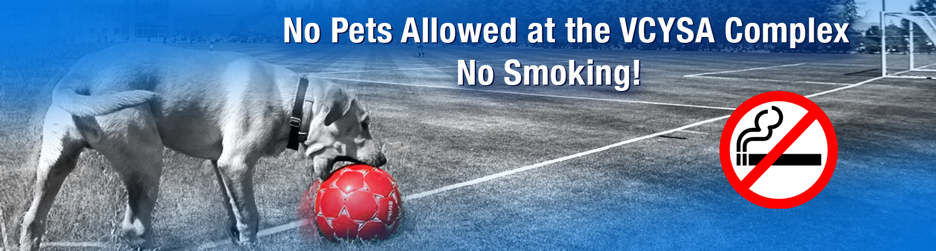 No Pets Allowed - No Smoking!